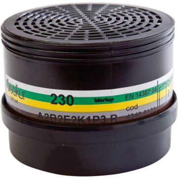 EKASTU Filter 230A2B2E2K1P3R D für Polimask 230
