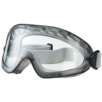 3M™ Vollsichtbrille 2890