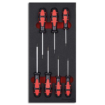 WERKZEUGMODUL SCHRAUBENDREHER TORX 1/3., FORMAT
